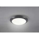 kinkiecik.pl Plafon CAMARO – R60502042 excl. 2x E27 · max. 12W IP54 TRIO