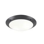 kinkiecik.pl Plafon CAMARO – R60502042 excl. 2x E27 · max. 12W IP54 TRIO
