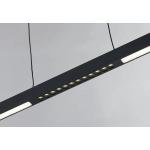 Cassie - lampa wisząca czarny mat 342101-30 REALITY