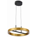 Lampa wisząca Coltrain czarny mat/ złoty galwanizowany 341001-32 REALITY