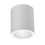 Plafon CONYON AZ6028 IP54 15W CCT SWITCH 3000-6000K IP54 biały AZZARDO