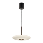 Lampa wisząca Pure E-vitrum Ciemnobrązowy 2084-34 Paul Neuhaus - zdjęcie produktu