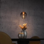 Lampa wisząca Pure Infinity Brązowa 2220-97 Paul Neuhaus - zdjęcie dodatkowe 3