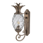 Średnia latarnia naścienna Plantation – 1 źródło światła – Oksydowany brąz HK-PLANTATION-M-BU Elstead Lighting