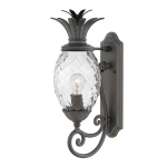 Średnia latarnia naścienna Plantation – 1 źródło światła – Czarna HK-PLANTATION-M-MB Elstead Lighting