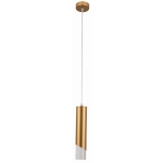 Hardin - lampa wisząca 1 płomienna złoty 342301-09 REALITY