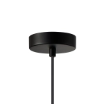 Lampa wisząca Maluna PND-74920-1-BK-SG Italux
