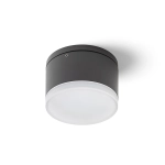 Plafon zewnętrzny ORIN R IP54 R13627 - zdjęcie produktu