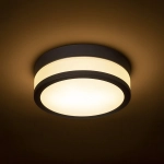 CIRA LED 23 sufitowa szkło opalowe/czarna 230V LED 12W IP44 3000K R13680 Rendl light studio