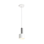 GIULIA 12 wisząca biała chrom 230V LED E27 11W R13908 Rendl light studio
