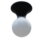 Lampa sufitowa BOY R14463