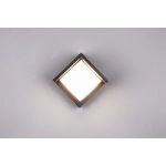 PUNO – R27026132 incl. 1x SMD LED, 8W · 1x 800lm, 3000K TRIO