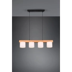 kinkiecik.pl Lampa wisząca CAMERON R30654001 TRIO