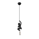 FIPS – R36551002 excl. 1x E14 · max. 10W TRIO