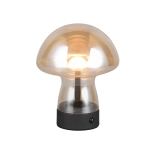 DOOLEY – R54981113 incl. 1x SMD, 1,5W · 1x 140lm, 3000K TRIO