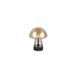 DOOLEY – R54981113 incl. 1x SMD, 1,5W · 1x 140lm, 3000K TRIO