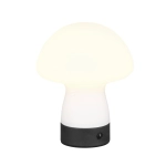 DOOLEY – R54981131 incl. 1x SMD, 1,5W · 1x 140lm, 3000K TRIO