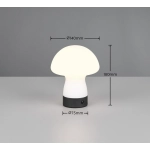 DOOLEY – R54981131 incl. 1x SMD, 1,5W · 1x 140lm, 3000K TRIO