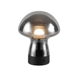 DOOLEY – R54981154 incl. 1x SMD, 1,5W · 1x 140lm, 3000K TRIO