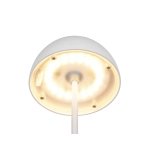 ORTIZ – R55601131 incl. 1x SMD, 2W · 1x 150lm, 3000K TRIO