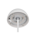 ORTIZ – R55601131 incl. 1x SMD, 2W · 1x 150lm, 3000K TRIO