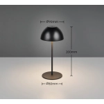 ORTIZ – R55601132 incl. 1x SMD, 2W · 1x 150lm, 3000K TRIO