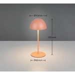 ORTIZ – R55601140 incl. 1x SMD, 2W · 1x 150lm, 3000K TRIO