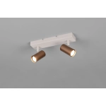 TARYN – R86852065 excl. 2x GU10 · max. 5W TRIO