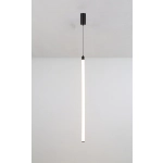 kinkiecik.pl Lampa wisząca Ray P022PL-L20B3K Maytoni