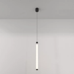 kinkiecik.pl Lampa wisząca Ray P022PL-L20B3K Maytoni