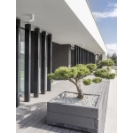 Plafon ADALIA LE73538 Luces Exclusivas - zdjęcie dodatkowe 1