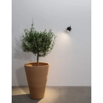 Kinkiet CUMANAYAGUA LE71564 Luces Exclusivas - zdjęcie dodatkowe 3