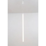 Lampa wisząca Ray P022PL-L20W3K Maytoni - zdjęcie produktu