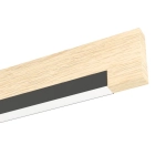 CAMACHO oprawa sufitowa 901736 EGLO