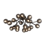 Lampa sufitowa Dallas MOD545CL-20B Maytoni - zdjęcie produktu