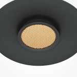 Lampa wisząca El MOD041PL-L15B3K1 Maytoni - zdjęcie dodatkowe 1