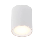 Oprawa downlight Fallon Long biały 47550101 Nordlux - zdjęcie produktu