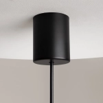 Lampa wisząca The Sixth Sense Z020PL-L6B3K Maytoni - zdjęcie dodatkowe 5