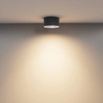 Lampa sufitowa Vega C089CL-15W3K-B Maytoni - zdjęcie dodatkowe 3