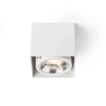 kinkiecik.pl JAMES I DIMM sufitowa matowa biała 230V LED 15W 24° 3000K R13361 Rendl light studio