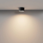 Lampa sufitowa Vega C089CL-12W3K-B Maytoni - zdjęcie dodatkowe 3