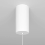 Lampa wisząca Ray P022PL-L10W Maytoni - zdjęcie dodatkowe 4