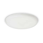 kinkiecik.pl BELI R 21 wpuszczana mleczny akryl 230V LED 27W IP65 3000K R13432 Rendl light studio