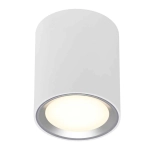 kinkiecik.pl Plafon Fallon Long 47550132 Nordlux