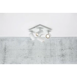 kinkiecik.pl Plafon Frida 49820101 Nordlux