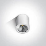 kinkiecik.pl Plafon COB Outdoor Ceiling Cylinders 67380/W/W ONE LIGHT