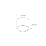 kinkiecik.pl Plafon COB Outdoor Ceiling Cylinders 67380A/W/W ONE LIGHT