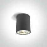 kinkiecik.pl Plafon PAR30 Outdoor Cylinders Die cast 67132C/AN ONE LIGHT