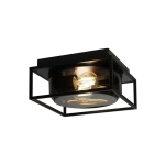 Lampa ogrodowa/sufitowa Griffin IP44- Nordlux, przydymione szkło 2218126047 - zdjęcie produktu