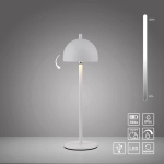 Lampa stołowa BELLIS 19244-16 Paul Neuhaus by Zuma Line